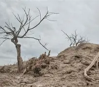 vBT拍?瑲@祀=???滩P??+觕!Y嫀擉?慗S